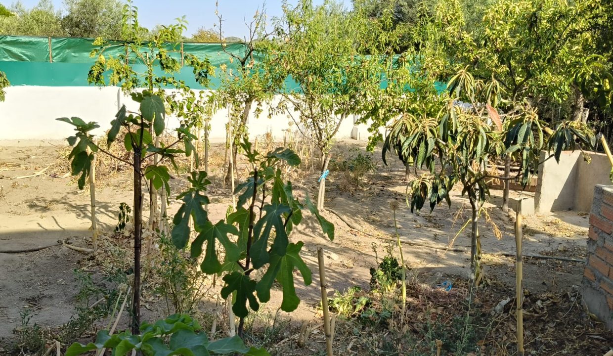 WhatsApp Image 2026-08-18 at 23.50.06 (1)